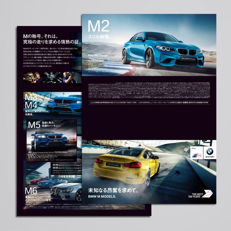BMW M DRIVING DAYS 2016 DM